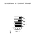 PHARMACEUTICAL COMPOSITIONS COMPRISING RNA AND USE FOR TREATING CANCER diagram and image