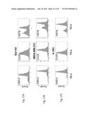 PHARMACEUTICAL COMPOSITIONS COMPRISING RNA AND USE FOR TREATING CANCER diagram and image