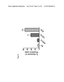 PHARMACEUTICAL COMPOSITIONS COMPRISING RNA AND USE FOR TREATING CANCER diagram and image