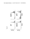 PHARMACEUTICAL COMPOSITIONS COMPRISING RNA AND USE FOR TREATING CANCER diagram and image