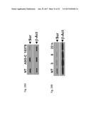 PHARMACEUTICAL COMPOSITIONS COMPRISING RNA AND USE FOR TREATING CANCER diagram and image