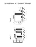 PHARMACEUTICAL COMPOSITIONS COMPRISING RNA AND USE FOR TREATING CANCER diagram and image