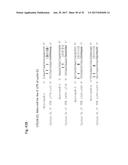 PHARMACEUTICAL COMPOSITIONS COMPRISING RNA AND USE FOR TREATING CANCER diagram and image
