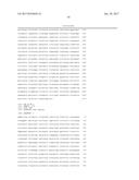 PHARMACEUTICAL COMPOSITIONS COMPRISING RNA AND USE FOR TREATING CANCER diagram and image