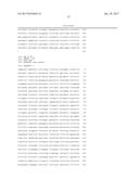 PHARMACEUTICAL COMPOSITIONS COMPRISING RNA AND USE FOR TREATING CANCER diagram and image