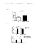 LNCRNAS FOR THERAPY AND DIAGNOSIS OF CARDIAC HYPERTROPHY diagram and image