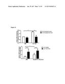 LNCRNAS FOR THERAPY AND DIAGNOSIS OF CARDIAC HYPERTROPHY diagram and image