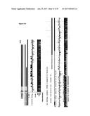 LNCRNAS FOR THERAPY AND DIAGNOSIS OF CARDIAC HYPERTROPHY diagram and image