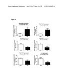 LNCRNAS FOR THERAPY AND DIAGNOSIS OF CARDIAC HYPERTROPHY diagram and image