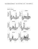 LNCRNAS FOR THERAPY AND DIAGNOSIS OF CARDIAC HYPERTROPHY diagram and image