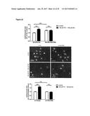 LNCRNAS FOR THERAPY AND DIAGNOSIS OF CARDIAC HYPERTROPHY diagram and image