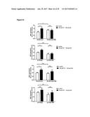 LNCRNAS FOR THERAPY AND DIAGNOSIS OF CARDIAC HYPERTROPHY diagram and image