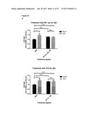 LNCRNAS FOR THERAPY AND DIAGNOSIS OF CARDIAC HYPERTROPHY diagram and image