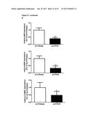 LNCRNAS FOR THERAPY AND DIAGNOSIS OF CARDIAC HYPERTROPHY diagram and image