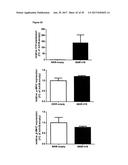 LNCRNAS FOR THERAPY AND DIAGNOSIS OF CARDIAC HYPERTROPHY diagram and image