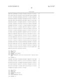 LNCRNAS FOR THERAPY AND DIAGNOSIS OF CARDIAC HYPERTROPHY diagram and image