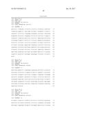 LNCRNAS FOR THERAPY AND DIAGNOSIS OF CARDIAC HYPERTROPHY diagram and image