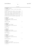 LNCRNAS FOR THERAPY AND DIAGNOSIS OF CARDIAC HYPERTROPHY diagram and image