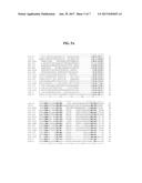 Pri-mirna libraries and methods for making and using pri-mirna libraries diagram and image