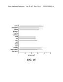 DNA RECOMBINASE CIRCUITS FOR LOGICAL CONTROL OF GENE EXPRESSION diagram and image