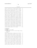 DNA RECOMBINASE CIRCUITS FOR LOGICAL CONTROL OF GENE EXPRESSION diagram and image