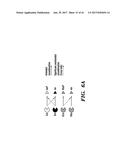 DNA RECOMBINASE CIRCUITS FOR LOGICAL CONTROL OF GENE EXPRESSION diagram and image