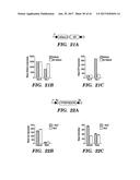 DNA RECOMBINASE CIRCUITS FOR LOGICAL CONTROL OF GENE EXPRESSION diagram and image