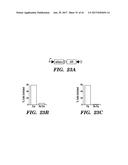 DNA RECOMBINASE CIRCUITS FOR LOGICAL CONTROL OF GENE EXPRESSION diagram and image