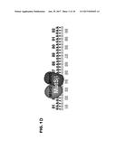 COMPOSITIONS AND USES FOR TREATMENT THEREOF diagram and image