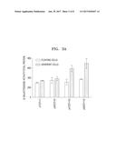 METHOD OF SEPARATING SENESCENT CELLS USING OVEREXPRESSION OF PROTOCADHERIN diagram and image