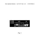 APTAMER TARGETING MAGE-A3 PEPTIDE AND USES THEREOF diagram and image