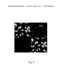 APTAMER TARGETING MAGE-A3 PEPTIDE AND USES THEREOF diagram and image