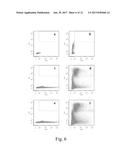 APTAMER TARGETING MAGE-A3 PEPTIDE AND USES THEREOF diagram and image