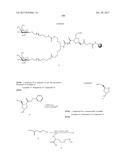 COMPOSITIONS AND METHODS FOR MODULATING PKK EXPRESSION diagram and image