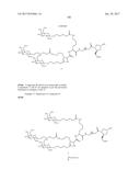 COMPOSITIONS AND METHODS FOR MODULATING PKK EXPRESSION diagram and image