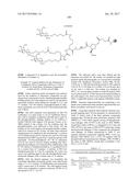 COMPOSITIONS AND METHODS FOR MODULATING PKK EXPRESSION diagram and image