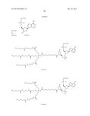 COMPOSITIONS AND METHODS FOR MODULATING PKK EXPRESSION diagram and image