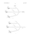 COMPOSITIONS AND METHODS FOR MODULATING PKK EXPRESSION diagram and image