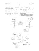 COMPOSITIONS AND METHODS FOR MODULATING PKK EXPRESSION diagram and image