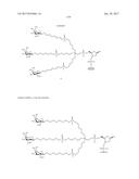 COMPOSITIONS AND METHODS FOR MODULATING PKK EXPRESSION diagram and image