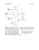 COMPOSITIONS AND METHODS FOR MODULATING PKK EXPRESSION diagram and image