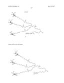 COMPOSITIONS AND METHODS FOR MODULATING PKK EXPRESSION diagram and image