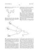 COMPOSITIONS AND METHODS FOR MODULATING PKK EXPRESSION diagram and image