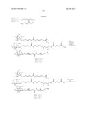 COMPOSITIONS AND METHODS FOR MODULATING PKK EXPRESSION diagram and image