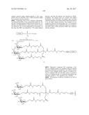 COMPOSITIONS AND METHODS FOR MODULATING PKK EXPRESSION diagram and image