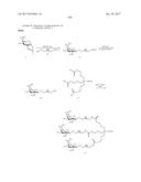 COMPOSITIONS AND METHODS FOR MODULATING PKK EXPRESSION diagram and image