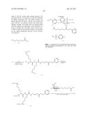 COMPOSITIONS AND METHODS FOR MODULATING PKK EXPRESSION diagram and image