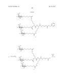 COMPOSITIONS AND METHODS FOR MODULATING PKK EXPRESSION diagram and image