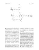 COMPOSITIONS AND METHODS FOR MODULATING PKK EXPRESSION diagram and image