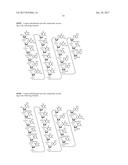 COMPOSITIONS AND METHODS FOR MODULATING PKK EXPRESSION diagram and image